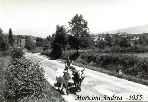 Andrea Moriconi2